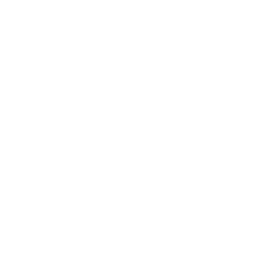 20year